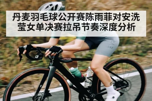 丹麦羽毛球公开赛陈雨菲对安洗莹女单决赛拉吊节奏深度分析